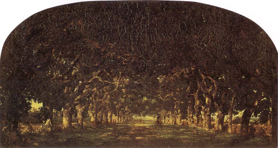 The Chestnut Avenue